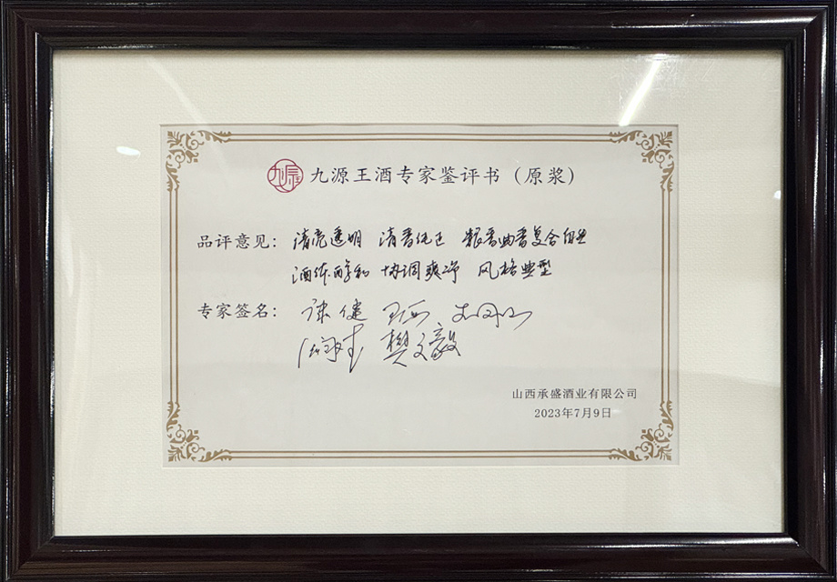 九源王专家鉴评书（原浆）
